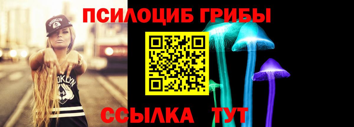 наркота  Псилоцибиновые грибы Psilocybine cubensis  Заречный  Вход с VPN  Псилоцибиновые грибы ЛСД 